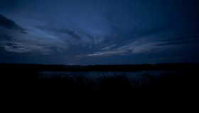 Pre-dawn wetland ambience RAW